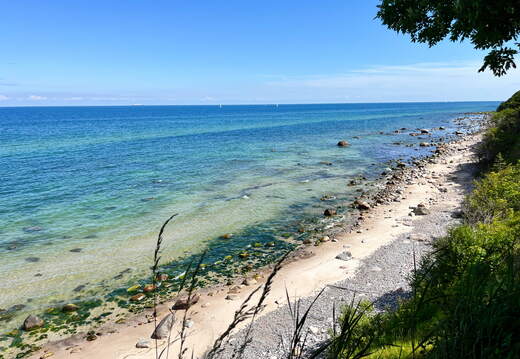 24-07-01 11-12-49 0052